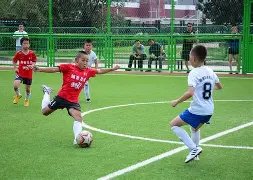 蒋圣龙肾脏,积液突破性,排出,世界杯赛事,2026年世界杯,赛事动态,参赛球队,赛事安排