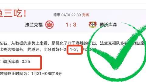 【独家】周六003澳超对决：阿德莱德VS墨胜利深度剖析